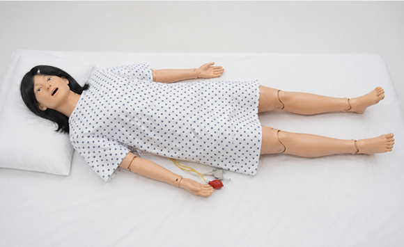 Nursing Anne